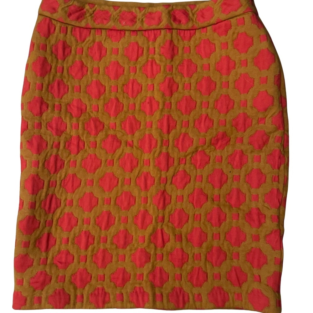 Unique Pink and Gold Women's Skirt